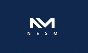 [NSP PHOTO]업앤다운게임주 상승네스엠 2512베스파