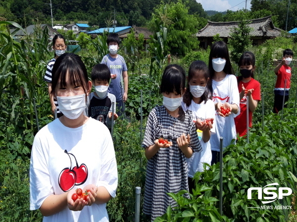 NSP통신-경상북도교육청은 자체 실시한 2020년 인성교육 평가 결과 높은 이행 달성도를 보였다고 21일 밝혔다 (경상북도교육청)