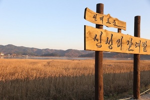 [NSP PHOTO]서천군, 연말연시 주요 관광지 폐쇄