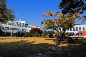 [NSP PHOTO]곡성군, 올 한해 전 군민 대상 군민안전보험 가입