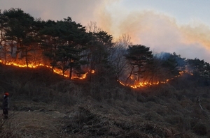 [NSP PHOTO]경북 영덕군 창수면 야산 산불 발생...총력 진화 중