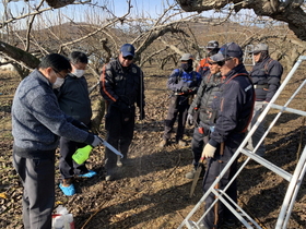 [NSP PHOTO]안성시농업기술센터, 과수화상병 예방…작업도구 소독 현장 지도 나서