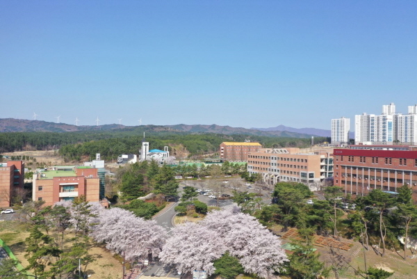 NSP통신-포항 선린대학교는 지난 12일 발표한 2020 대학정보공시(2019.12.31.기준)에서 취업률 74%를 기록해 대구·경북지역 22개 전문대학 중에서 8위를 차지했으며, 특히 취업 질의 척도인 유지취업률에서 1차, 4차에서 대구·경북지역에서 1위를 차지했다. (포항 선린대학교)