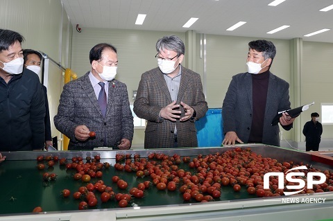 [NSP PHOTO]정읍시, 방울토마토 선별장 개장...고소득 작물로 육성