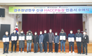 [NSP PHOTO]경주시, 천년한우 한우육 농장 7곳 신규 HACCP인증 확보