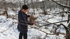 [NSP PHOTO]서천군, 과수 동해피해 조기판별 기술지원
