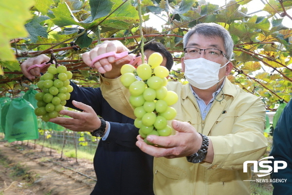 NSP통신-예천군이 한국농수산식품유통공사가 발표한 농·식품수출정보에 따르면 지난해 농·특산물 수출액 2192만 달러(한화 263억 원)로 동기 대비 2배 가까이 증가하는 큰 성과를 거뒀다. (예천군)