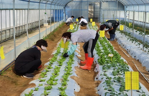 [NSP PHOTO]담양군, 영농정착 교육 실시