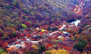 [NSP PHOTO]정읍시, 내장산국립공원·구절초 테마공원 한국관광 100선 선정