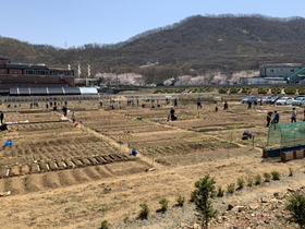 [NSP PHOTO]광명시, 친환경 시민주말농장 참여 가족·단체 모집