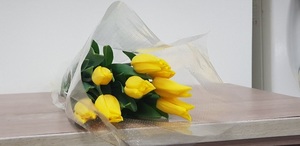 [NSP PHOTO]완주군 사랑한다면 꽃으로 봄을 선물하세요