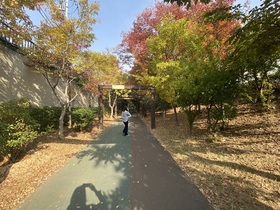 [NSP PHOTO]광주 동구, 푸른길공원 친환경 힐링공간으로 새 단장