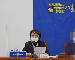 [NSP PHOTO]김진애, 문재인 정부 아킬레스 건 부동산 이슈 풀어내야 한다