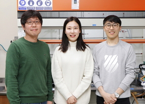 [NSP PHOTO]포스텍-KAIST 연구팀, 비등방성 메타표면 이용 광스핀홀 효과 달성