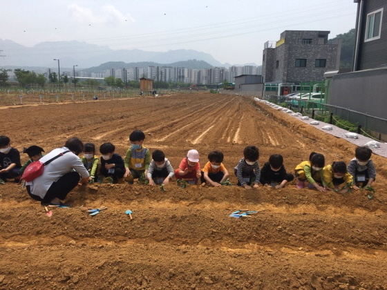 NSP통신-도민텃밭 경작 모습. (경기도)