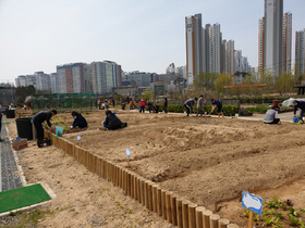[NSP PHOTO]시흥시, 도시농업공원 시민행복텃밭 참여자 모집