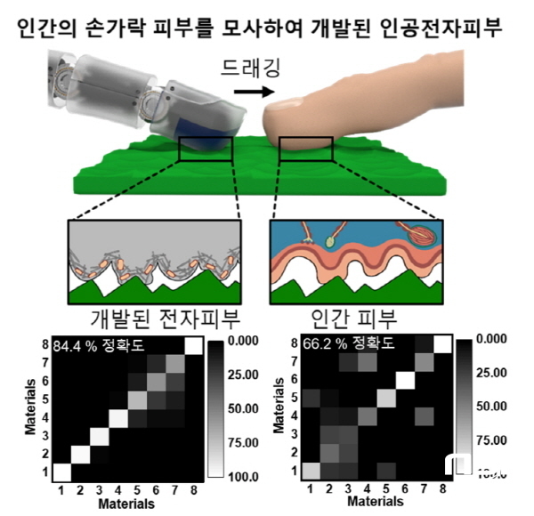 NSP통신-개발된 전자 피부가 물체 표면과 접촉할 때를 나타낸 모식도 및 개발된 전자 피부와 인간 피부가 임의의 물체를 감지할 수 있는 정확도 (포스텍)