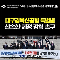 [NSP PHOTO][카드뉴스]대구경북신공항 특별법 신속한 제정 강력 촉구