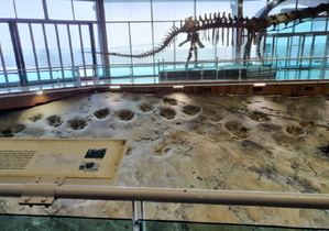 [NSP PHOTO]해남군 우항리 공룡 화석지, 국가중요과학기술자료 등재