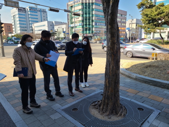 NSP통신-26일 검진단이 수원시청 앞 가로수의 건강을 검진하고 있다. (수원시)