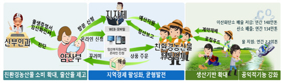 NSP통신-임산부 친환경농산물 지원사업 체계도. (경기도)