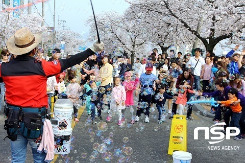 [NSP PHOTO]정읍시, 지역감염 우려 벚꽃축제 취소 결정