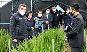 [NSP PHOTO]김동일 보령시장, 주요 사업장·시설물 안전점검 실시