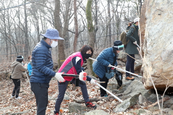 NSP통신-6일 한대희 군포시장(왼쪽 파란색 점퍼)이 군포시청 공무원 자원봉사자들과 함께 수리산에서 바위밑 매미나방 알집을 제거하고 있다. (군포시)