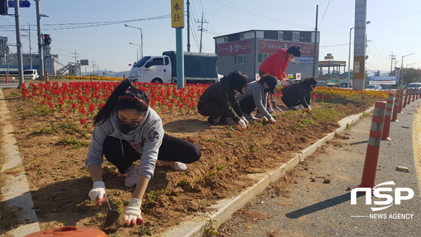 NSP통신-경주시 공공근로사업 운영 모습. (경주시)