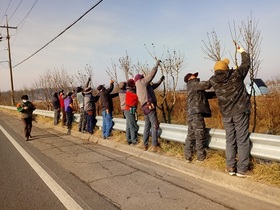 [NSP PHOTO]완주군, 무궁화 100리길 새단장 박차