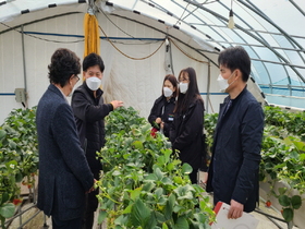 [NSP PHOTO]예천군농업기술센터, 스마트팜 농가 맞춤형 현장 컨설팅