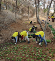 [NSP PHOTO]광양 중마동 주민자치위원회, 꽃동산 가꾸기 실시