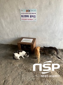 [NSP PHOTO]진안군, 읍·면에 길고양이 급식소 5개소 추가 설치