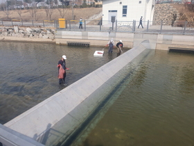 [NSP PHOTO]김포시, 한강신도시 금빛수로 및 실개천 환경정비