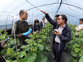 [NSP PHOTO]곡성군, 명품농업대학 시설원예전문가 신입생 30명 모집