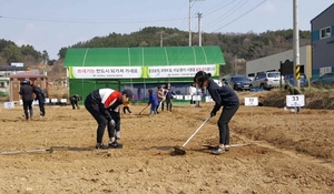 [NSP PHOTO]대구시, 공영도시텃밭 개장