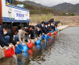 [NSP PHOTO]영덕군, 영덕황금은어 종 보존을 위해 대량방류