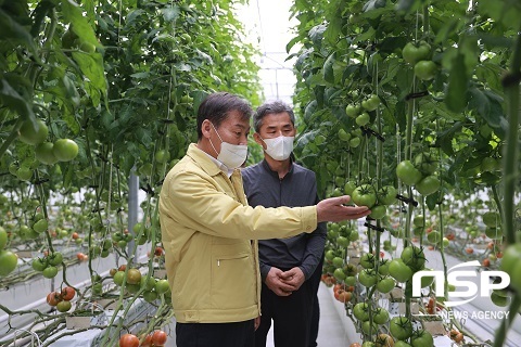 [NSP PHOTO]전춘성 진안군수, 시설채소 농장 방문...애로사항 청취