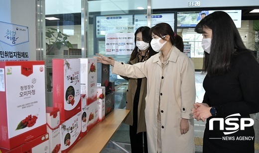 [NSP PHOTO]장수군, 오미자 포장재 선호도 조사 실시