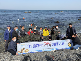 [NSP PHOTO]경주시, 감포 마을어장 전복 치패 무상 방류 진행