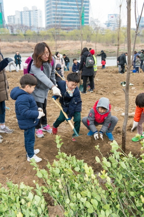 NSP통신-지난 2019년 안양천에서 진행된 나무심기 행사 (양천구)