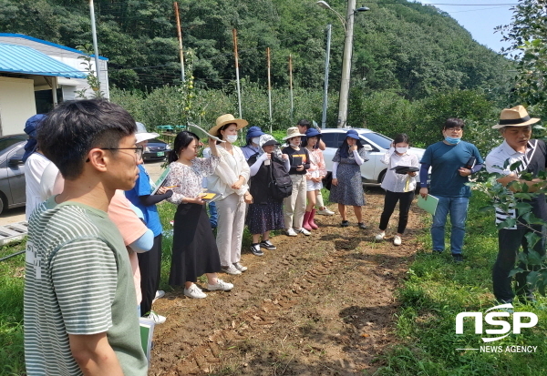 NSP통신-경상북도농업기술원에서는 전국 최초로 사과의 생육, 환경, 경영데이터를 수집, 구축해 데이터 기반 AI 재배 모델을 개발한다고 밝혔다. (경상북도)