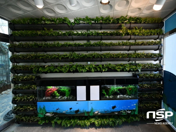 NSP통신-예천군 대표 관광명소인 예천곤충생태원이 식충식물 유리 온실, 곤충체험 온실, 유아통통놀이터 시설 안전 정비 등 말끔한 모습으로 새 단장을 마치고 1일부터 개방한다. (에천군)