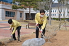 [NSP PHOTO]경북교육청, 안동무궁화 심기 식목 행사 가져