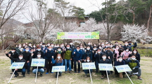 [NSP PHOTO]용인시, 식목일 맞아 자연휴양림 내 편백나무 1000그루 식재