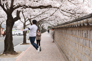 [NSP PHOTO]경주시,경주서 한 달 살아보기시작