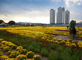 [NSP PHOTO]포항시 하수처리시설, 새로운 개념의 레코파크(Recopark) 로 조성 추진