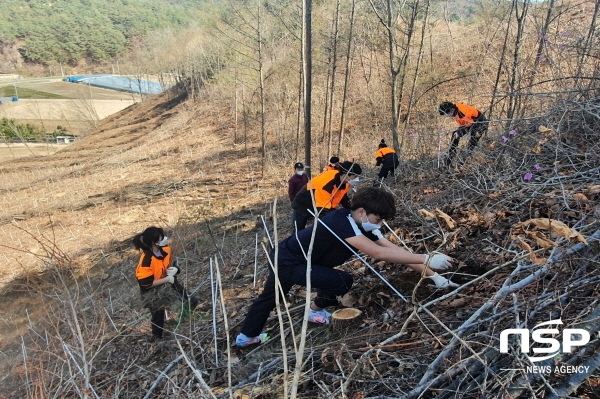 NSP통신-봉화군은 지난 5일 한국산림과학고 학생들을 대상으로 산림분야 실무능력 배양을 위한 조림 현장실습교육을 지원했다고 밝혔다. (봉화군)