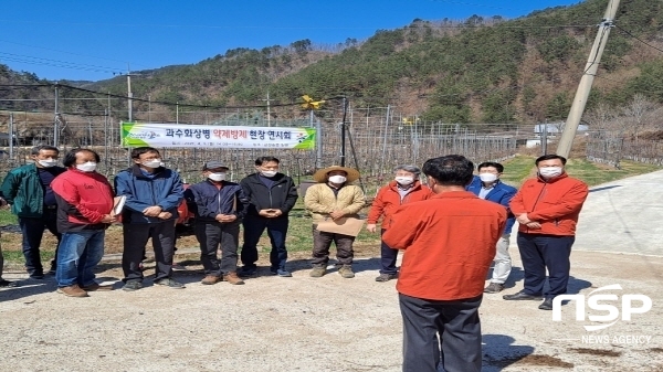 NSP통신-울진군은 지난 5일 금강송면 광회리 이신모 농가의 사과 과수원에서 울진군 사과재배 농업인 20여명을 대상으로 과수 화상병의 예방 및 차단을 위한 약제방제 현장 연시회를 개최했다. (울진군)