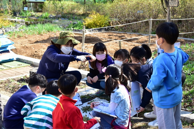 NSP통신-학교로 찾아가는 생태교육 프로그램 모습. (김포시)